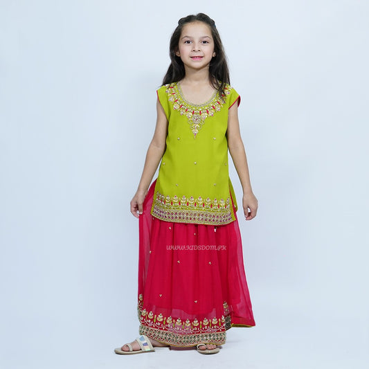 Aanchal Lehenga-Dhaani Pink